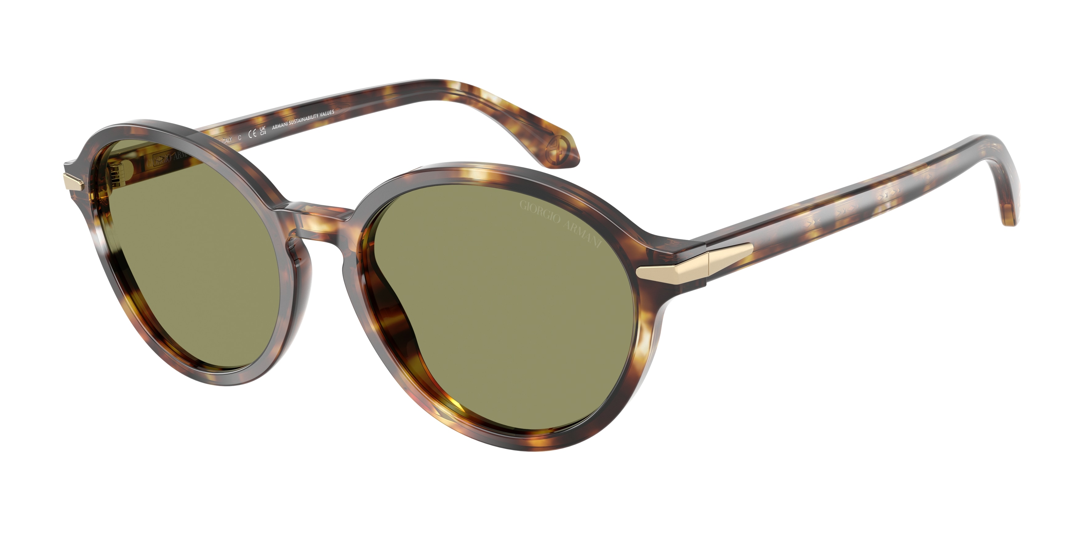 Giorgio Armani AR8237 623214  
